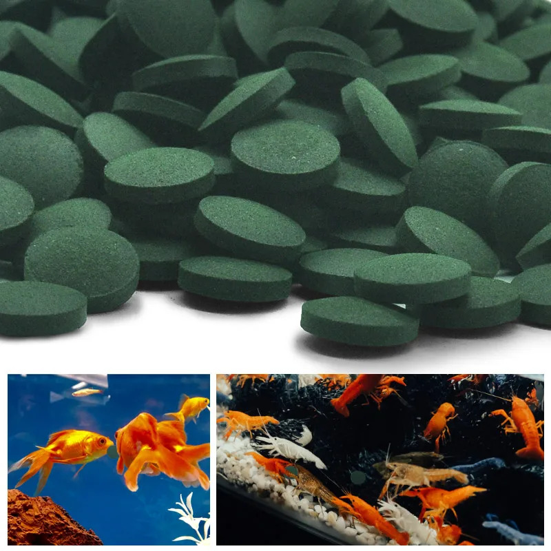 50-300 pz compresse di spiruli - Aquarium Fish Price recensione e prezzo