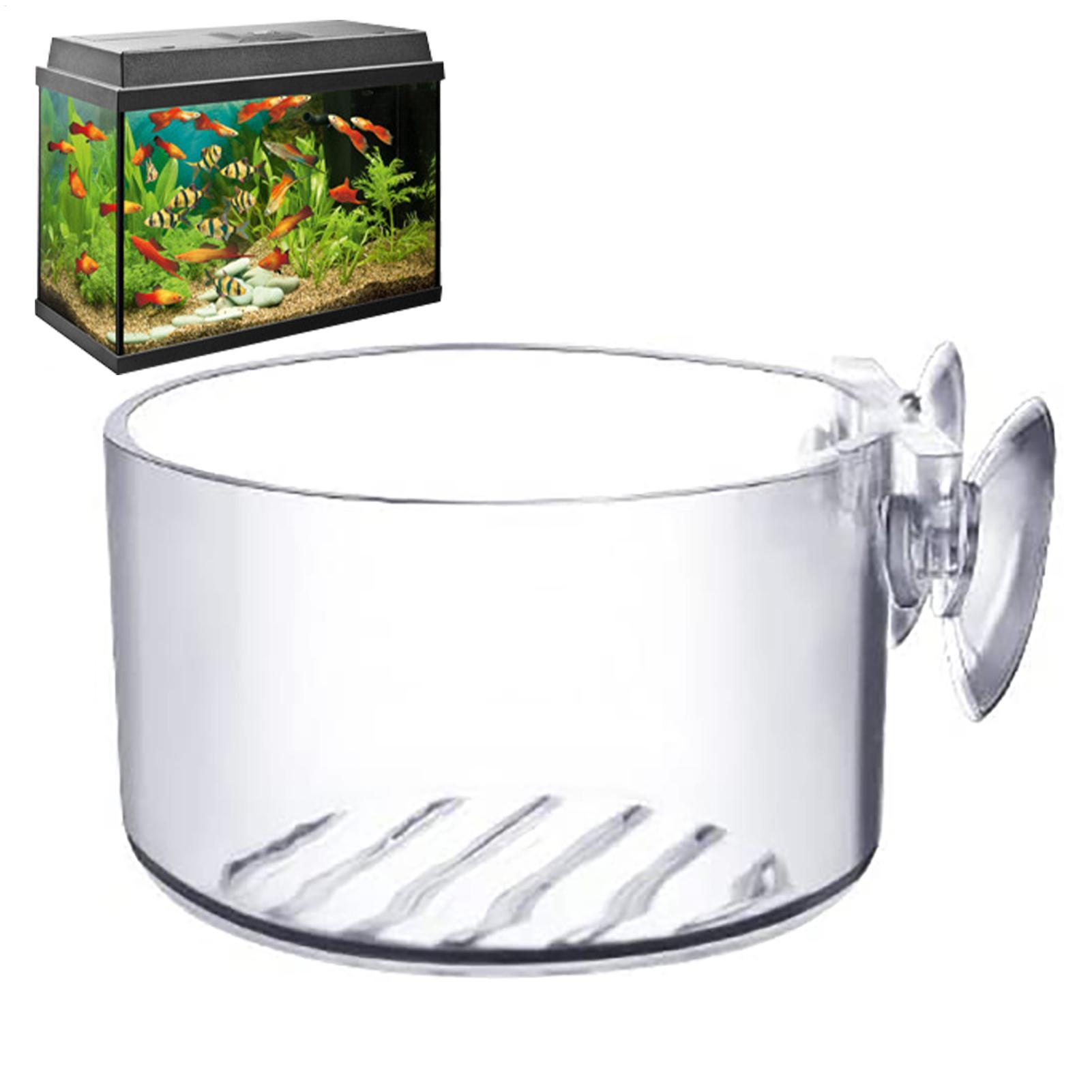 Vaso per Piante Acquatiche in  - Aquarium Fish Pot recensione e prezzo