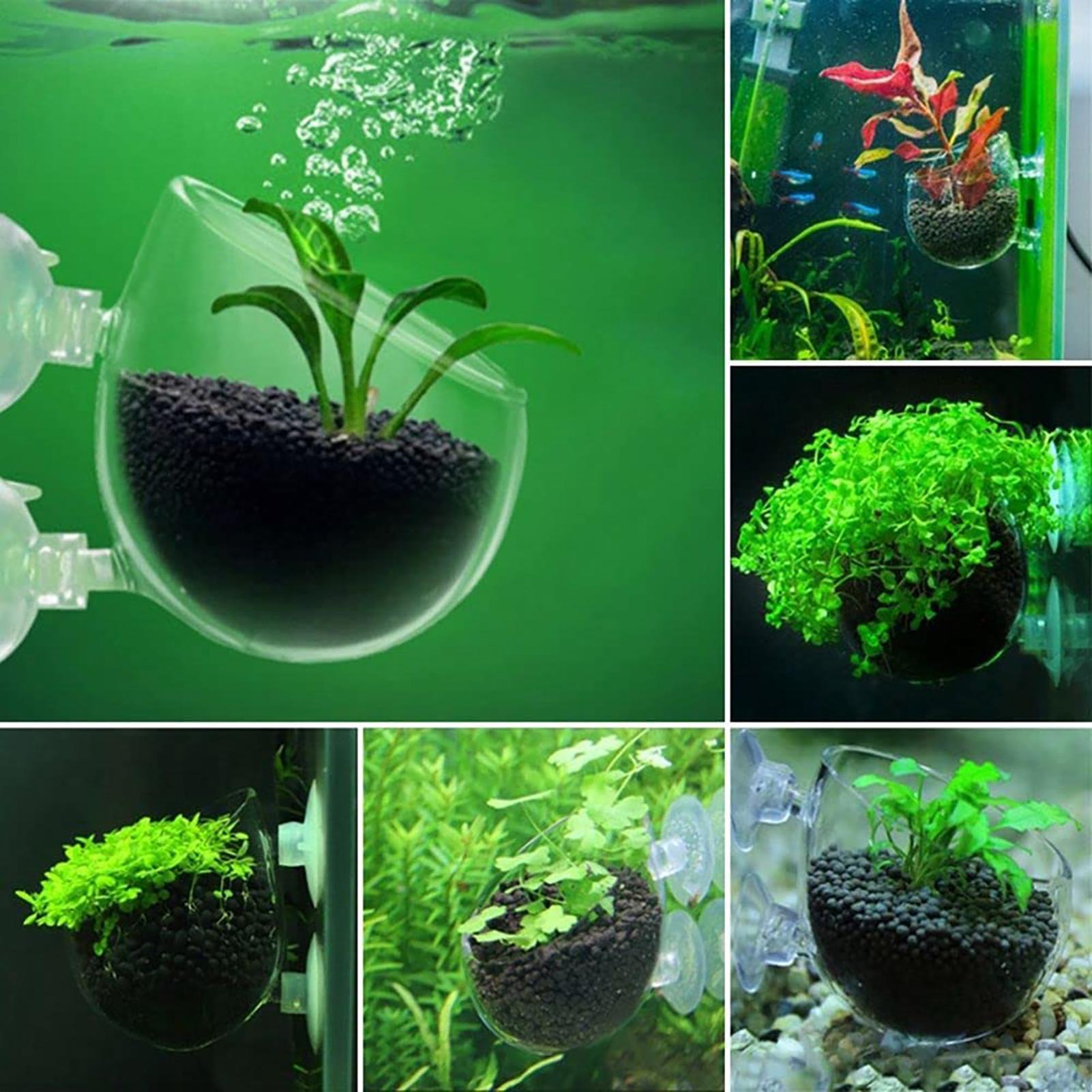 Vaso per Piante Acquatiche in  - Aquarium Fish Pot recensione e prezzo