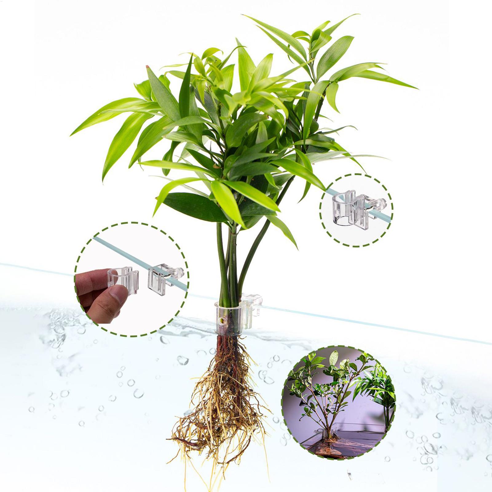 Cesto per Piante d'Acquario Tr - Aquarium Fish Pot recensione e prezzo