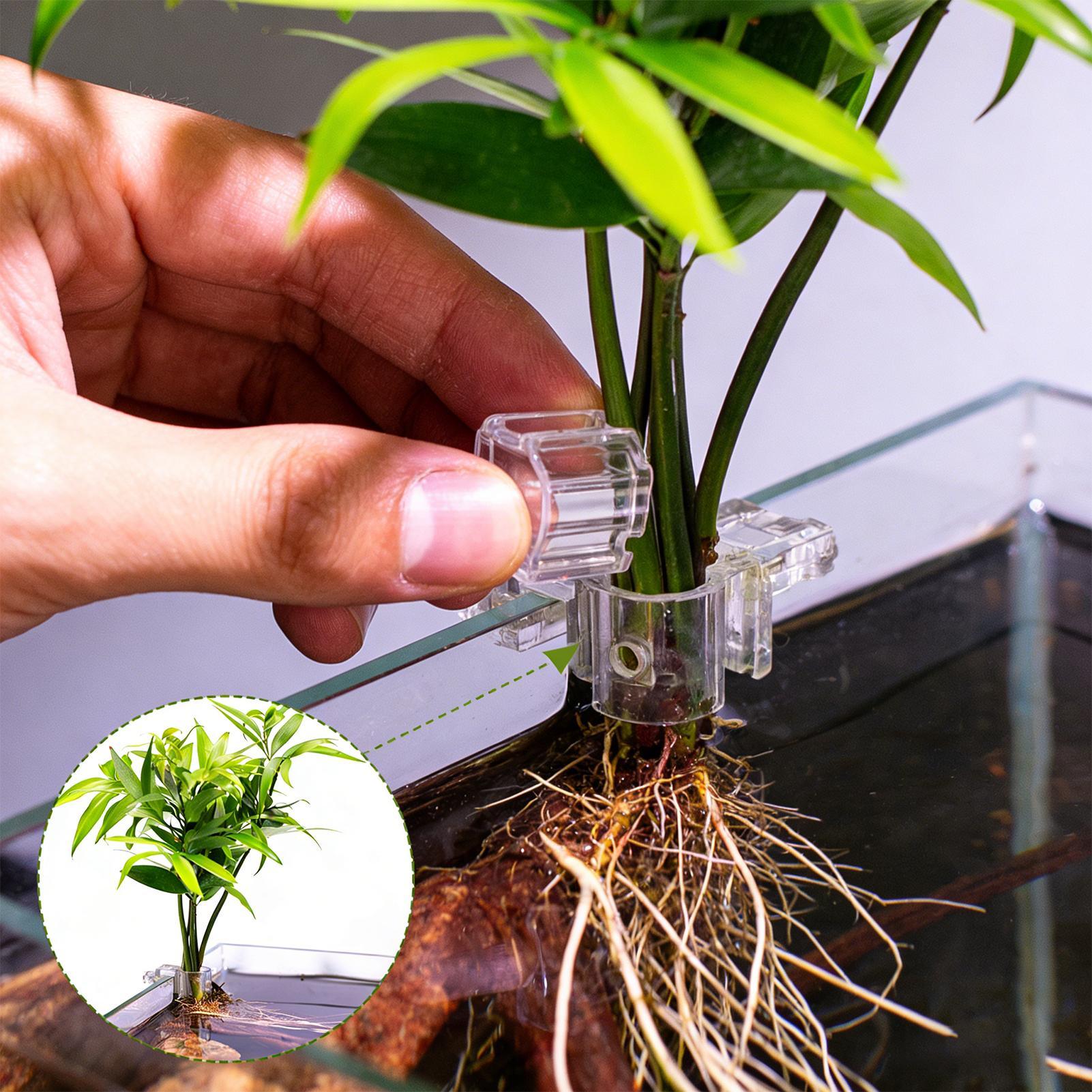 Cesto per Piante d'Acquario Tr - Aquarium Fish Pot recensione e prezzo