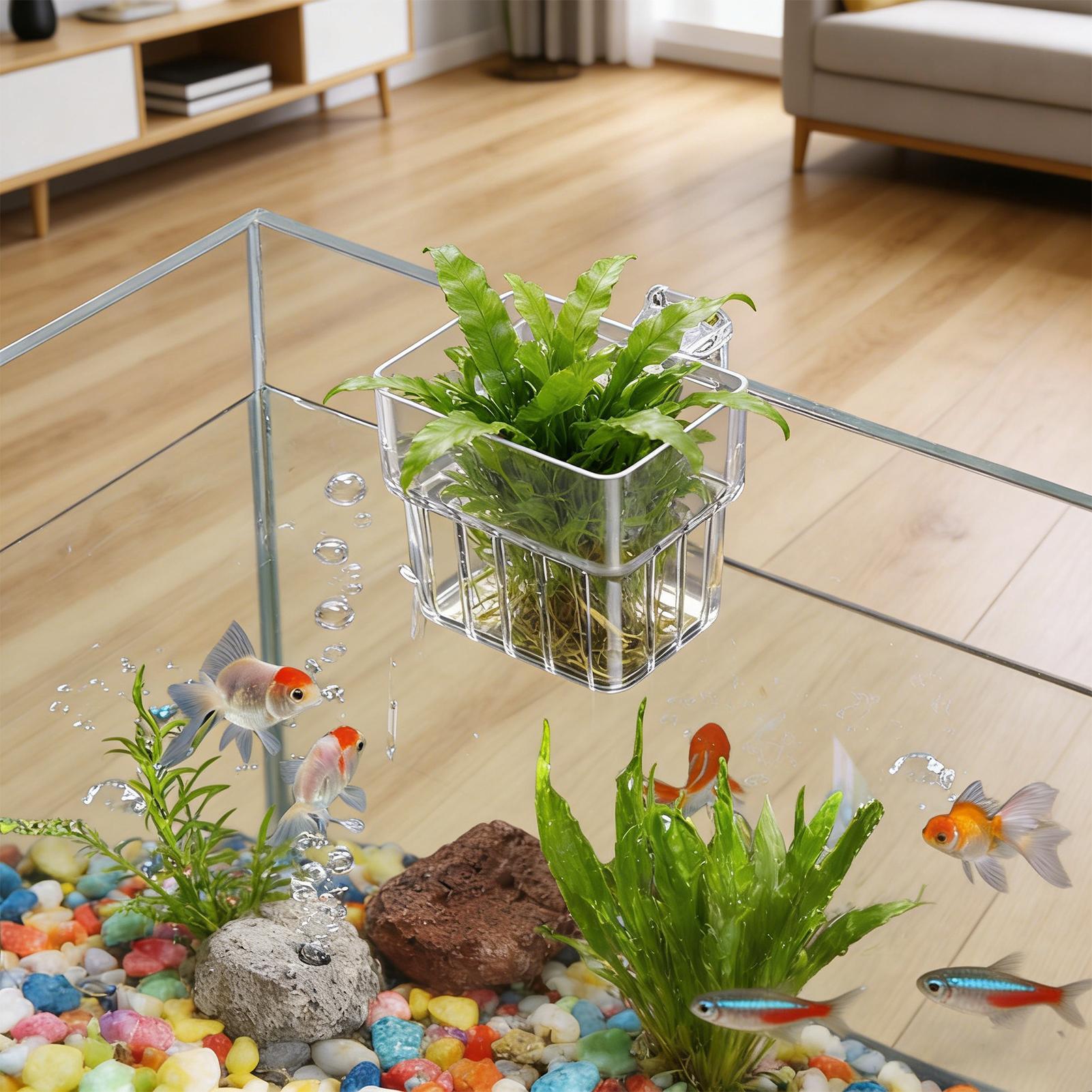 Supporto Trasparente per Piant - Aquarium Fish Pot recensione e prezzo