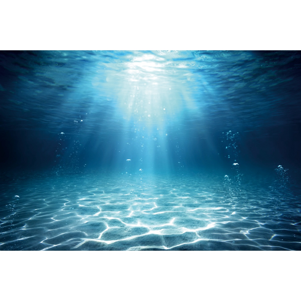 Sfondo fotografico sottomarino - Aquarium Fish Of The World recensione e prezzo