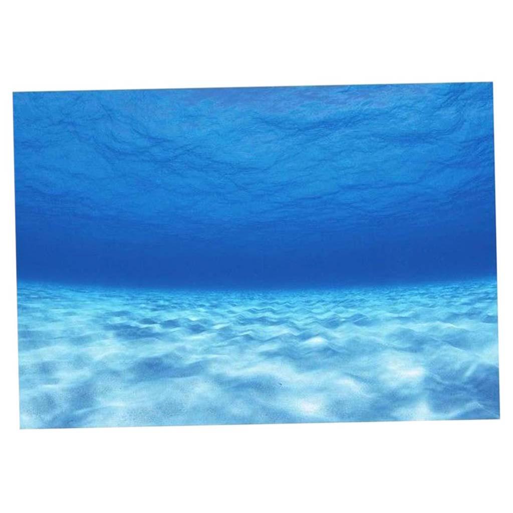 Sfondo decorativo laterale per - Aquarium Fish Of The World recensione e prezzo