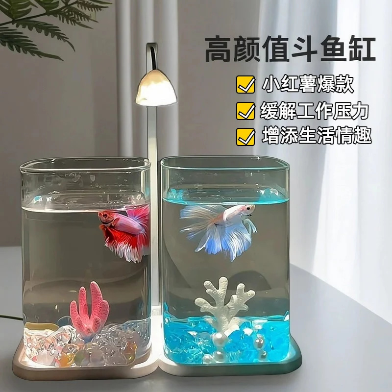 Mini acquario da tavolo in vet - Aquarium Fish Betta recensione e prezzo