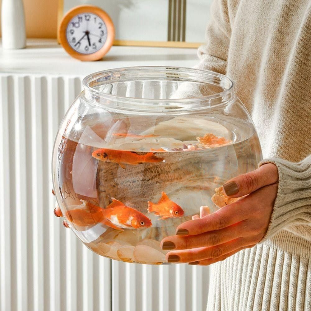 Nuovo acquario trasparente rot - Aquarium Fish Names recensione e prezzo