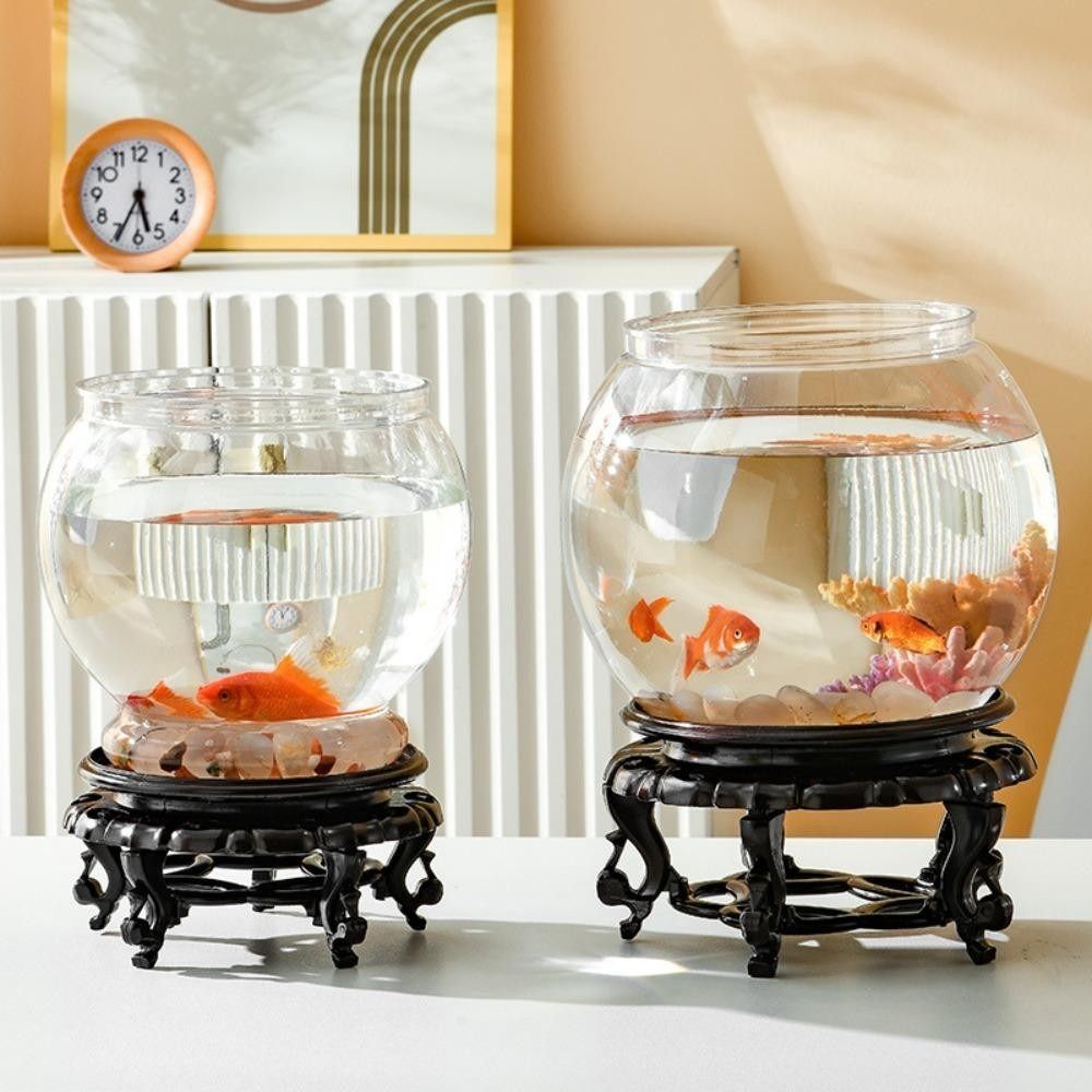Nuovo acquario trasparente rot - Aquarium Fish Names recensione e prezzo
