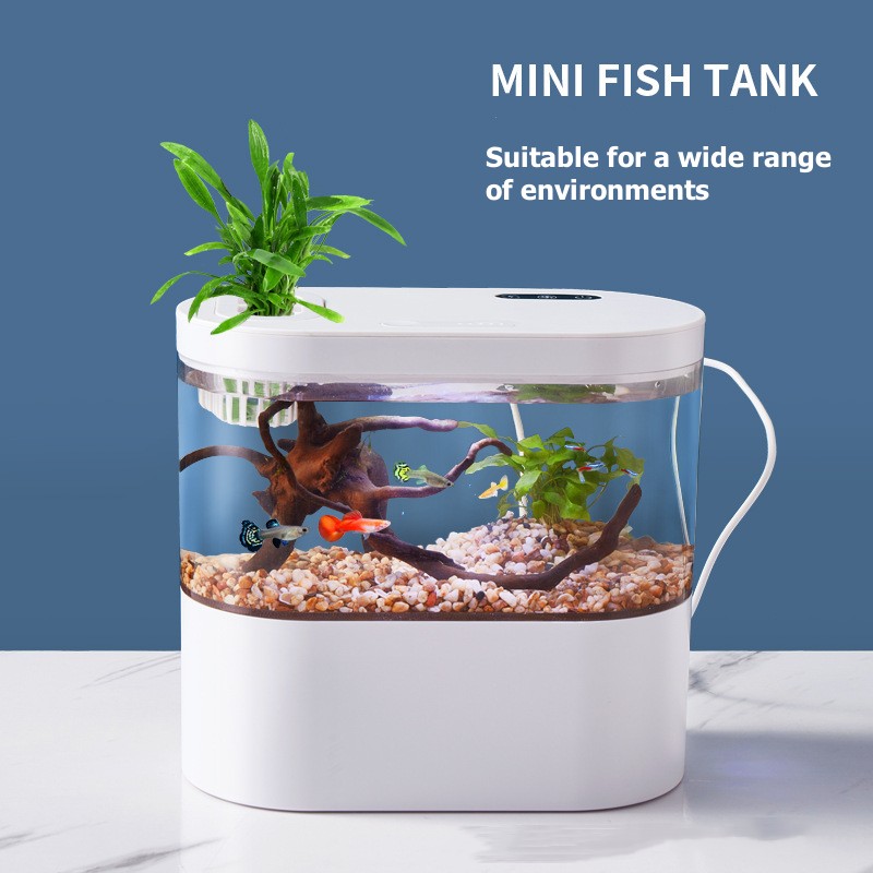 Acquario da Tavolo Creativo co - Aquarium Fish Betta recensione e prezzo