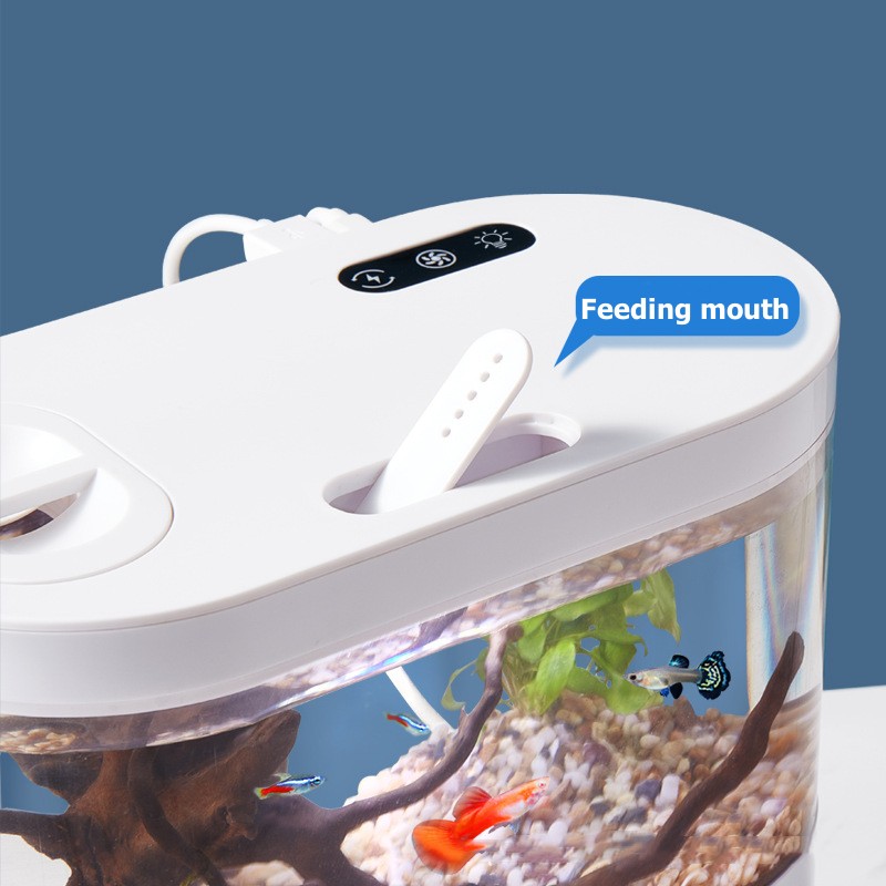 Acquario da Tavolo Creativo co - Aquarium Fish Betta recensione e prezzo