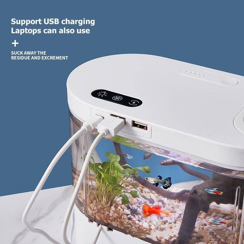 Acquario da Tavolo Creativo co - Aquarium Fish Betta recensione e prezzo