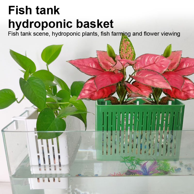 【F】Porta-piante sospeso per ac - Aquarium Fish Items recensione e prezzo