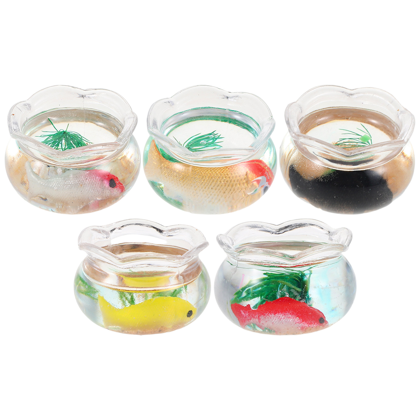 5 Pezzi di Mini Acquari Rotond - Aquarium Fish Small recensione e prezzo
