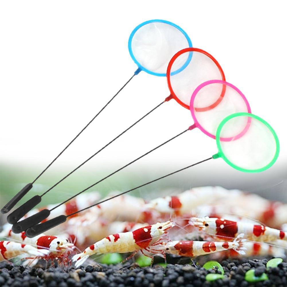 Reti colorate per pesci d'acqu - Aquarium Fish Net recensione e prezzo