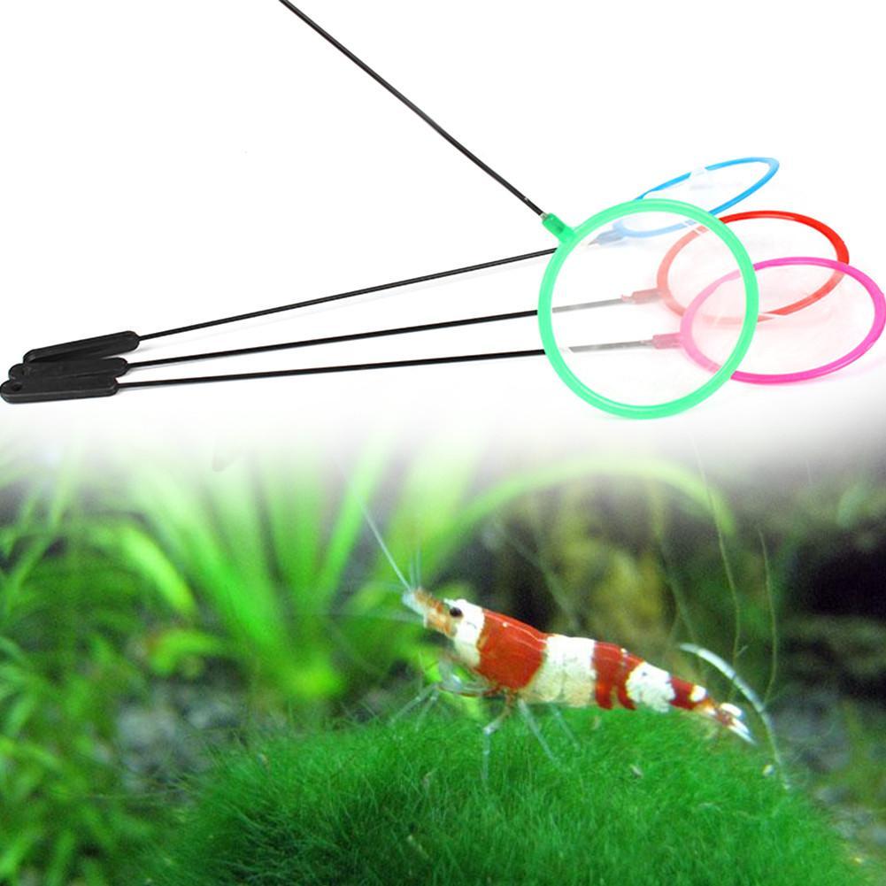 Reti colorate per pesci d'acqu - Aquarium Fish Net recensione e prezzo